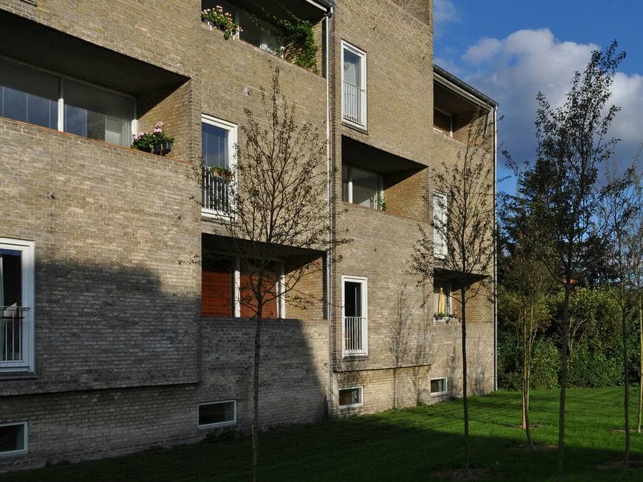 Row of terraced houses with private frontages
