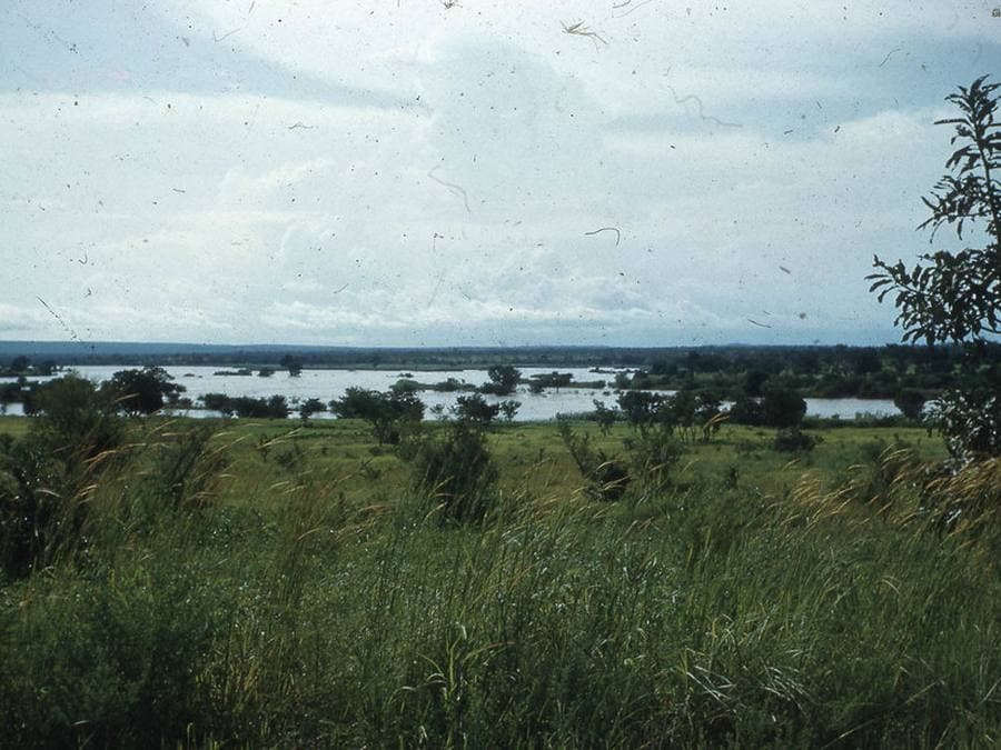 Savanna and riverine land near Kaduna, Nigeria