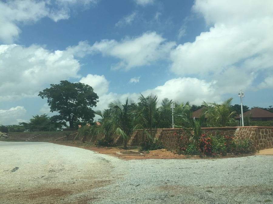 Open sandy plot bordered by palms and low bush, northern Nigeria
